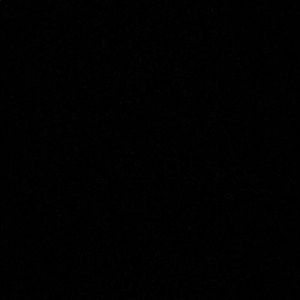 Meet your Posher, Abbey